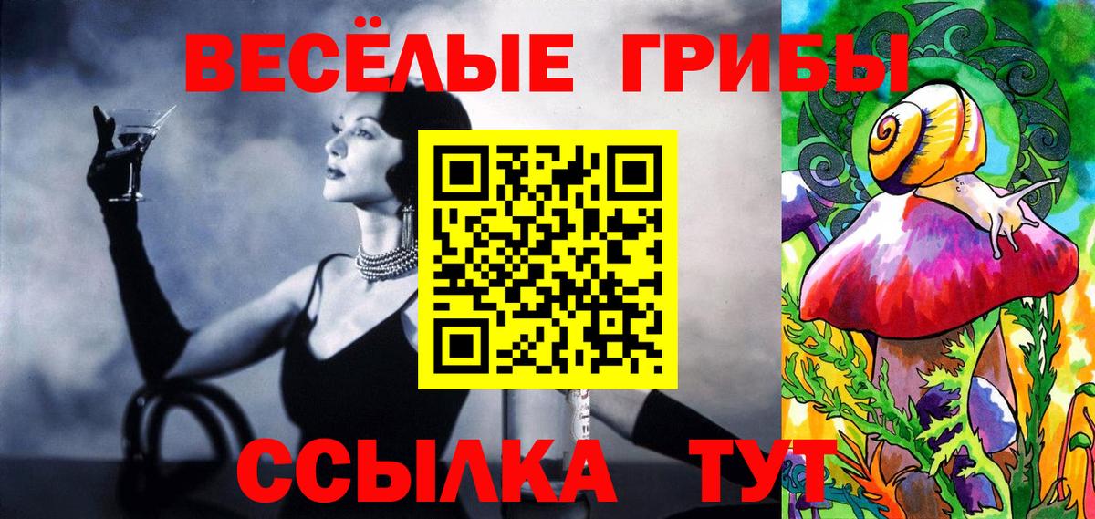 Каменск-Шахтинский  Галлюциногенные грибы мухоморы  Вход с VPN  Псилоцибиновые грибы прущие грибы 
