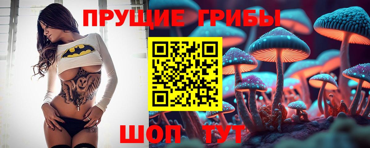 Псилоцибиновые грибы прущие грибы Каменск-Шахтинский